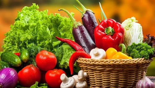 垃圾分類新潮流 苗木廢棄物如何處理？生活垃圾分類實用小妙招