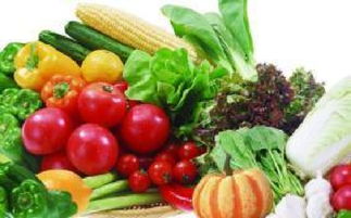 山西科普惠農特色優質農產品展銷會盛大開幕，花卉產業綻放異彩